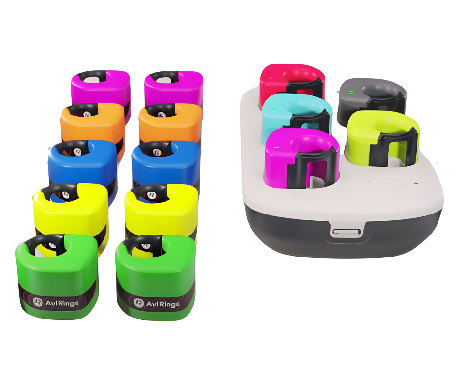 AviRings Highflyer Rings - Small Set